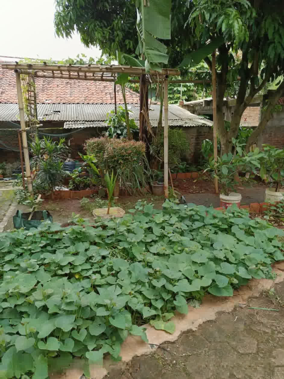 Ruang Terbuka Hijau